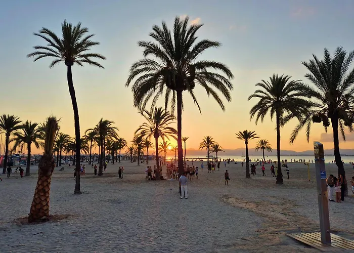 Live Cristianos Valdes Center 2 *